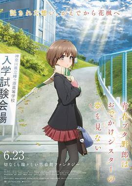 欧美激情视频免费观看