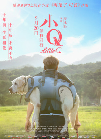 狠狠干免费视频